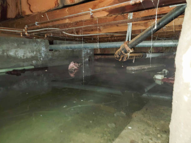 Best Flood restoration services  in Golden Triangle, NJ