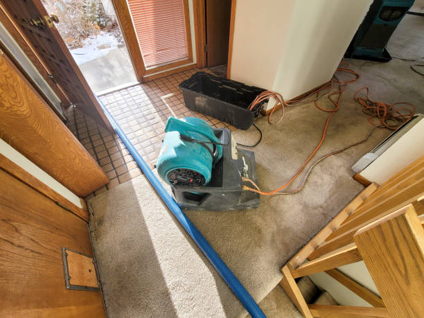 Best Water damage restoration near me  in Golden Triangle, NJ