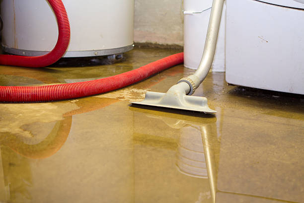 Best Mold removal after water damage  in Golden Triangle, NJ